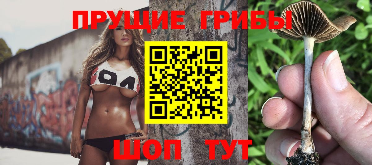 Галлюциногенные грибы MAGIC MUSHROOMS  Вход с VPN  Зима  Псилоцибиновые грибы Cubensis 