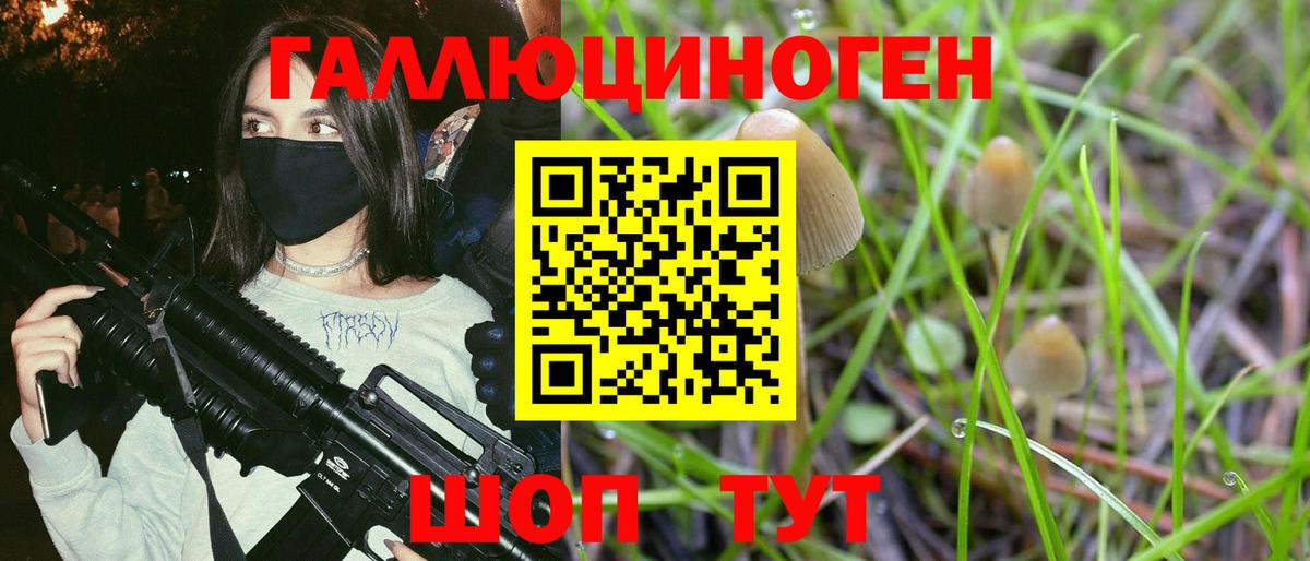 Галлюциногенные грибы прущие грибы Зима